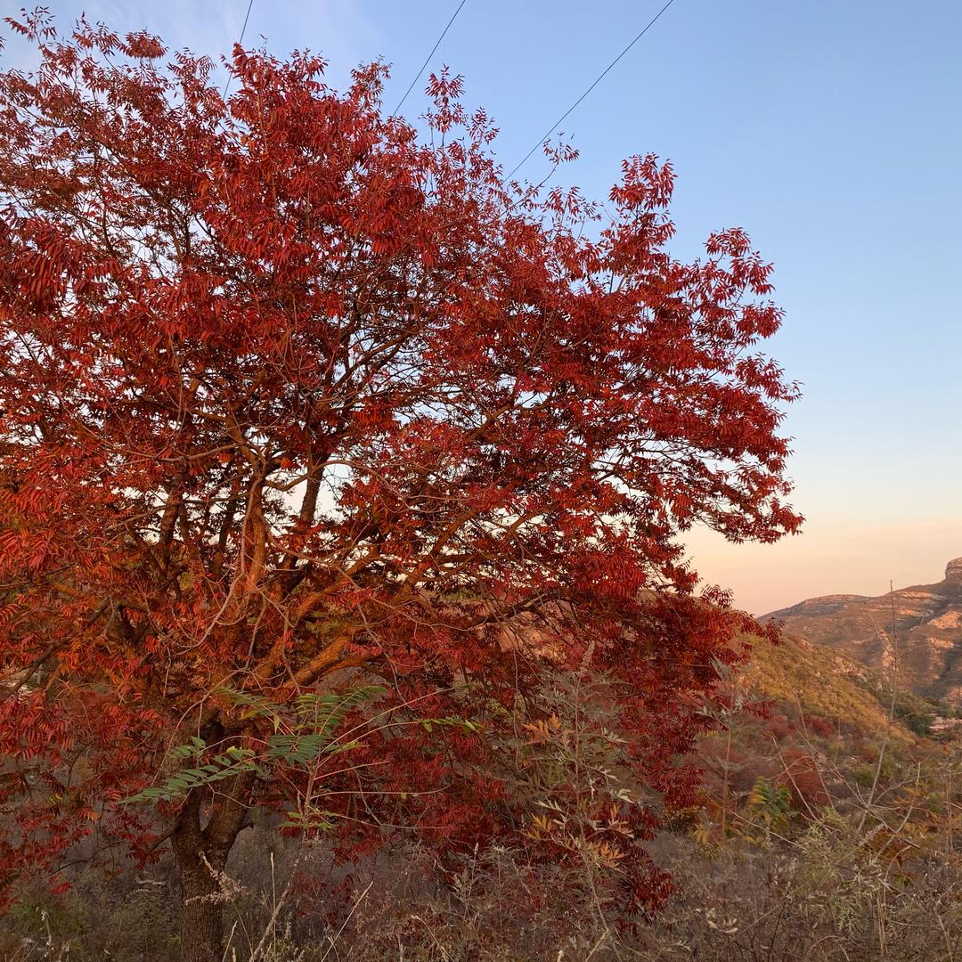 永不回头。
