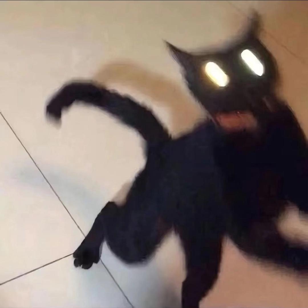 QY.