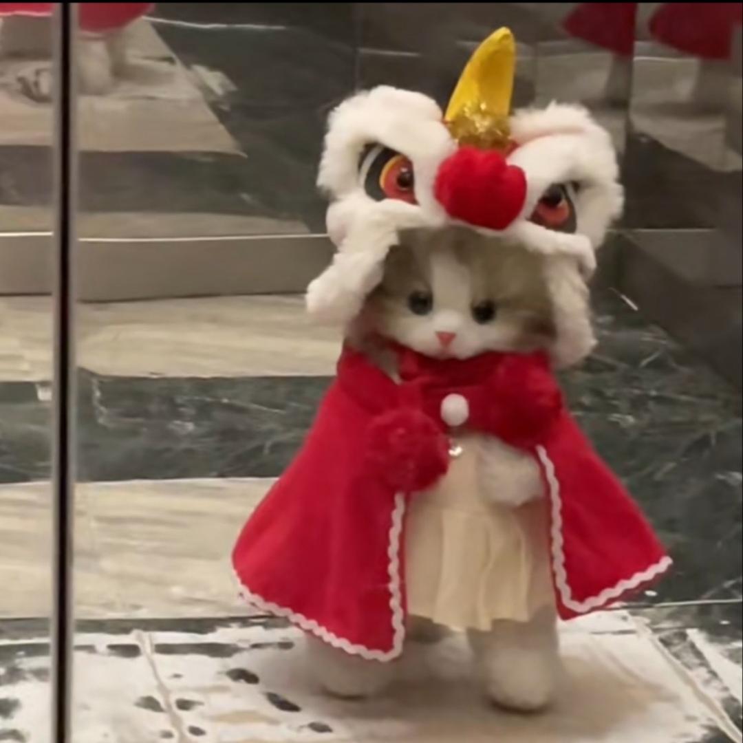 正反文