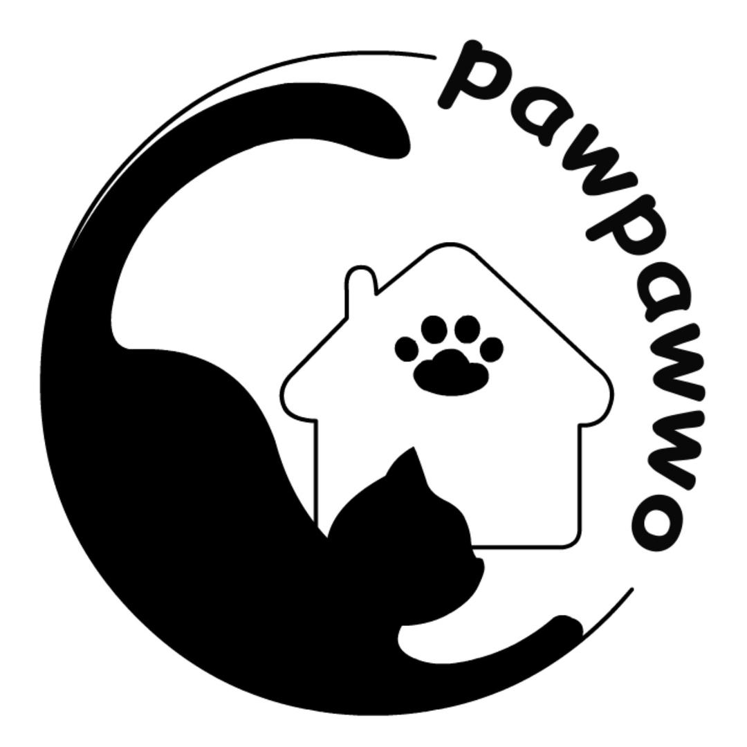 🫧PawPawWo🐈‍⬛