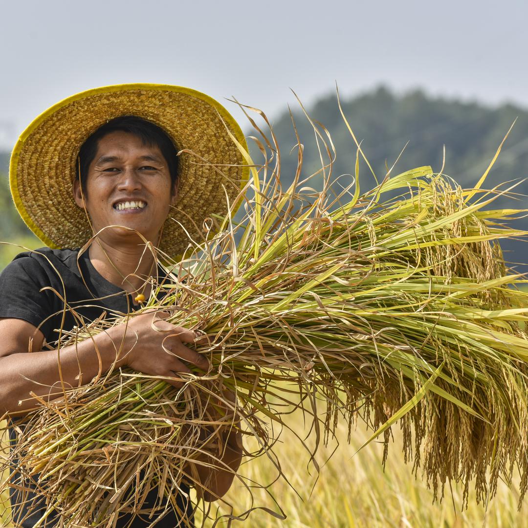 粤北农夫华仔特产