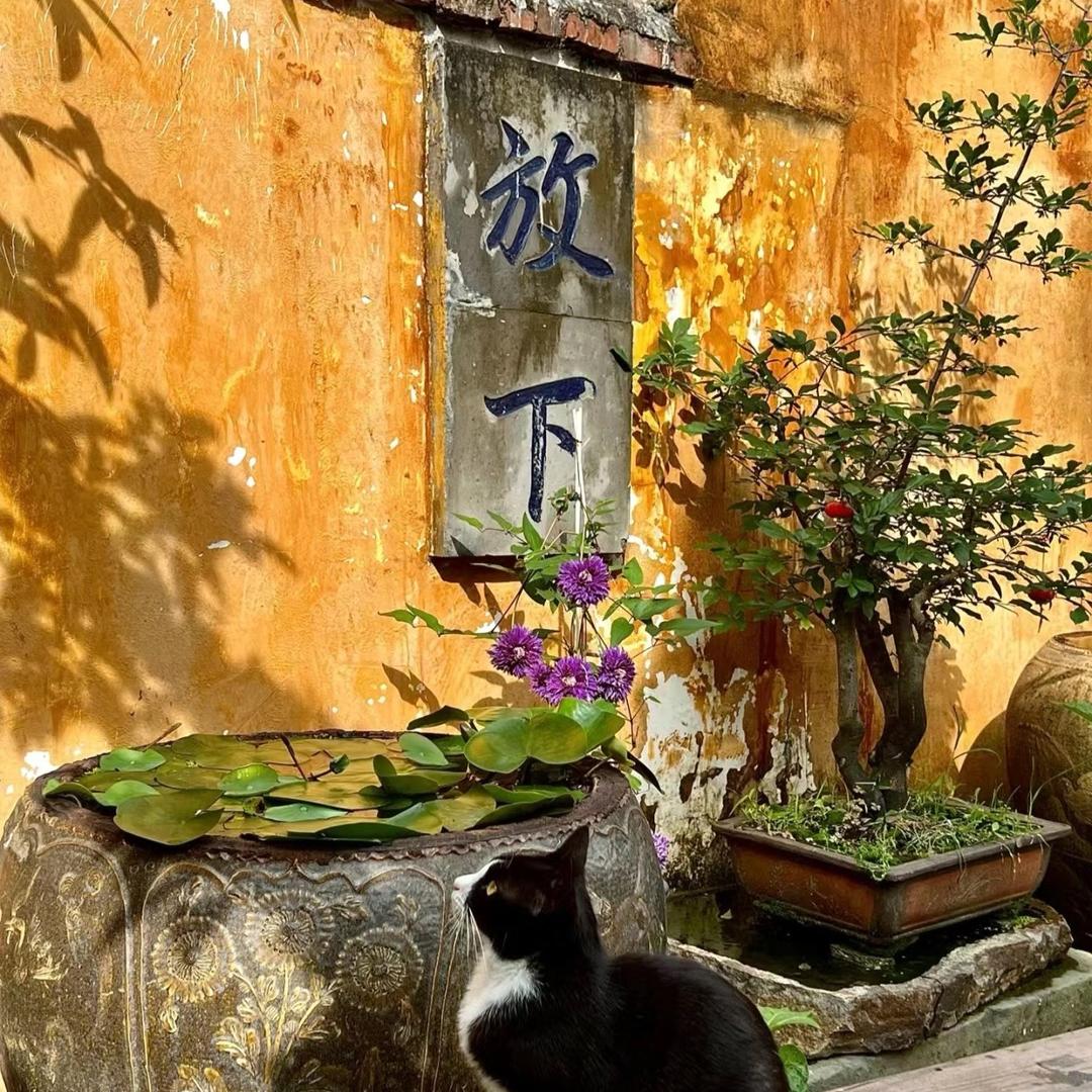 法雨寺