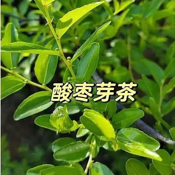 泰安好物