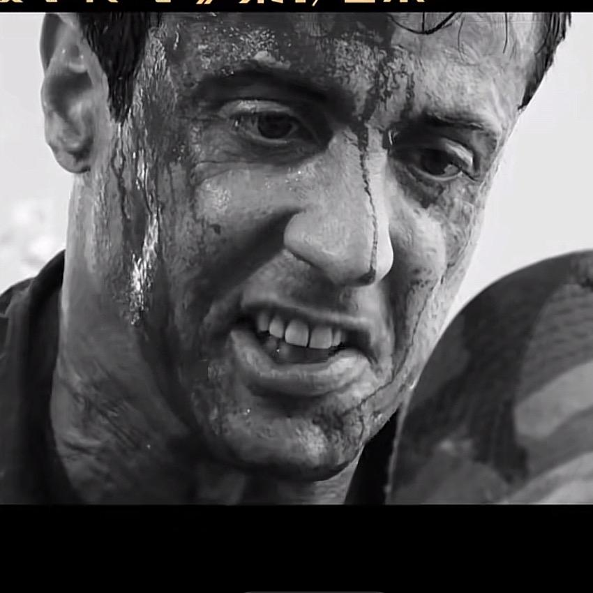 戴着草帽的小猪🐷