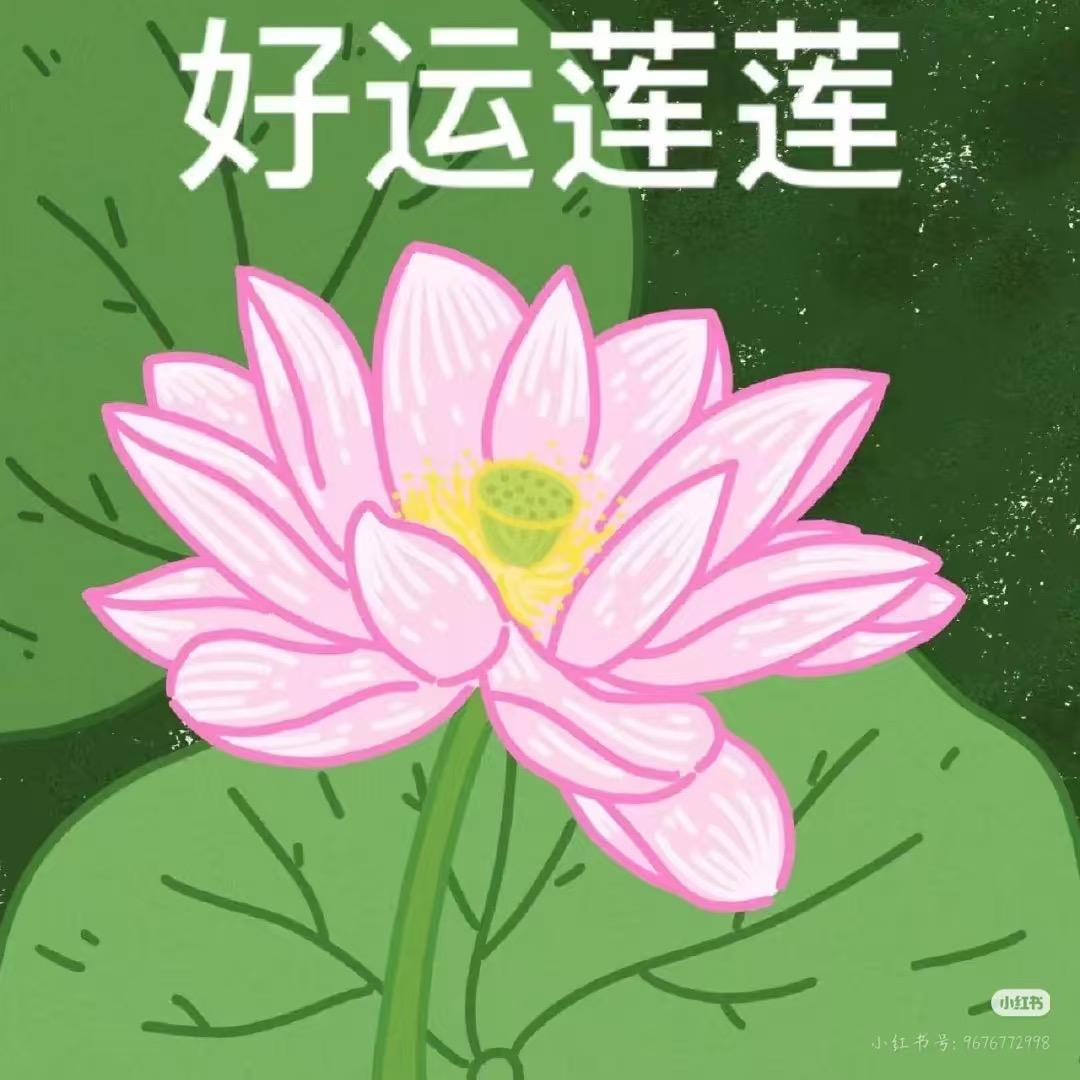 海蜇