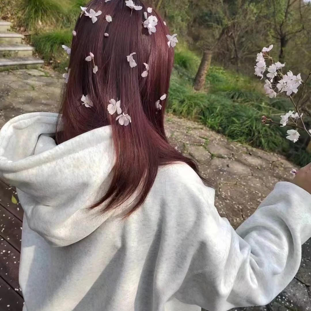 媛宝