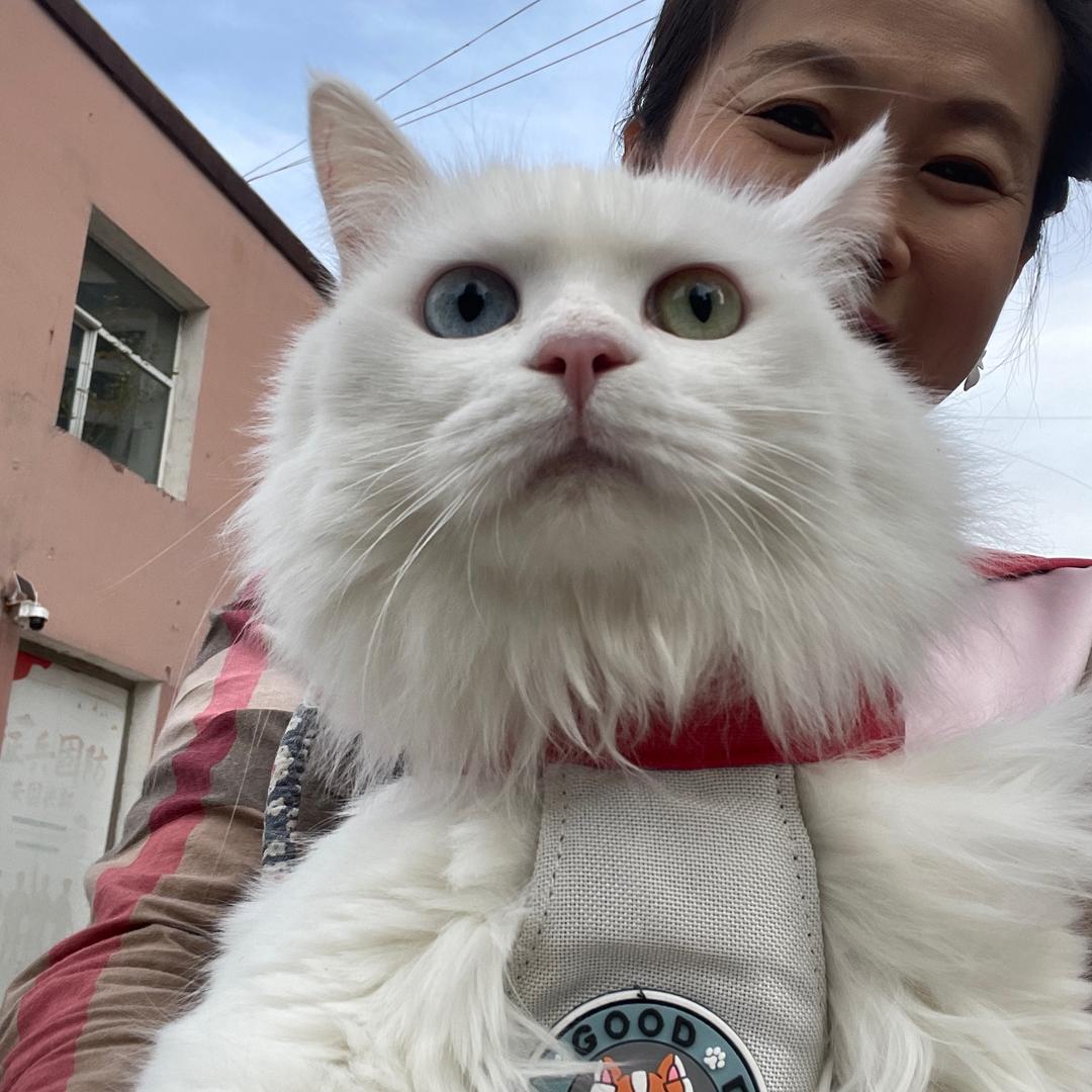 飘雪和孩子们