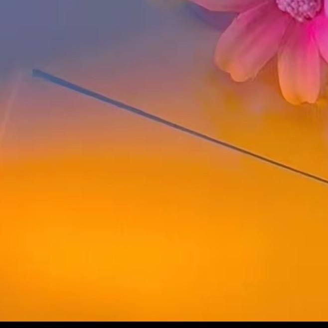 123