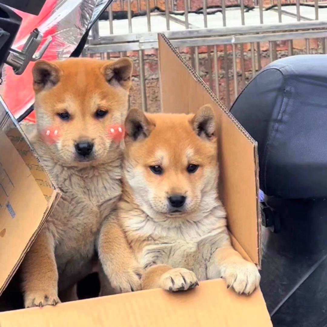 壮乡广土俱乐部