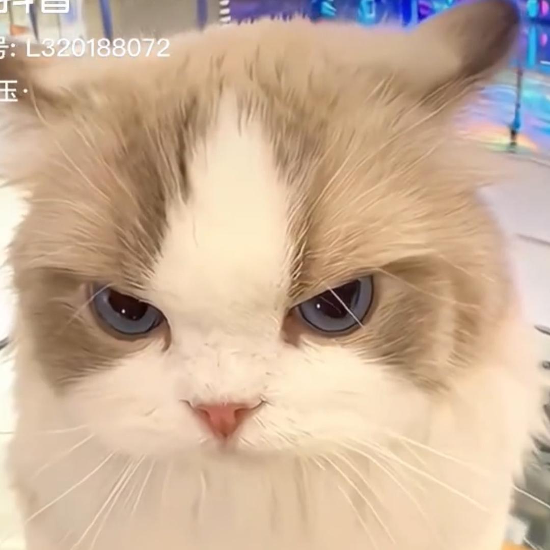 桐人