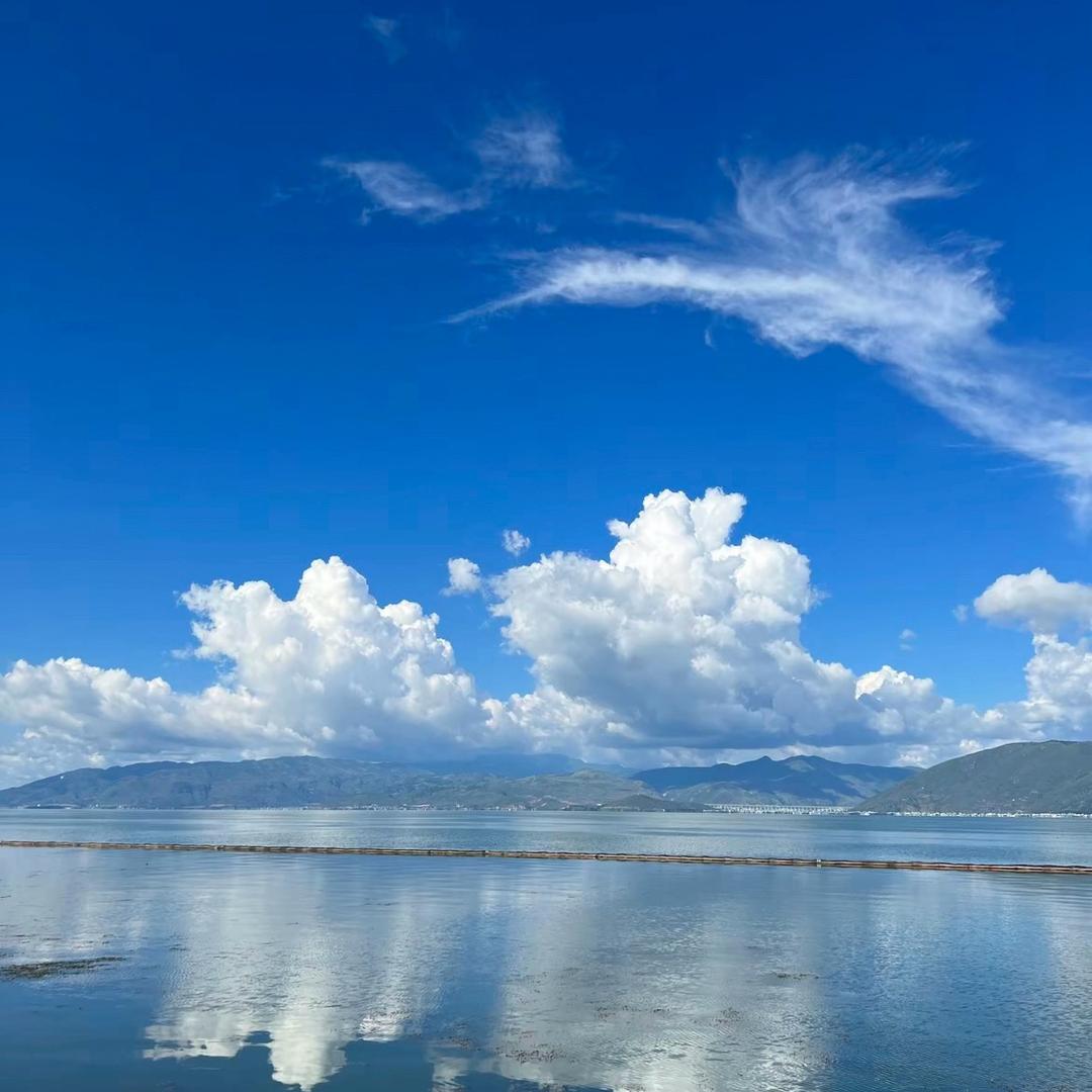 🌈爱吃饼干🌈