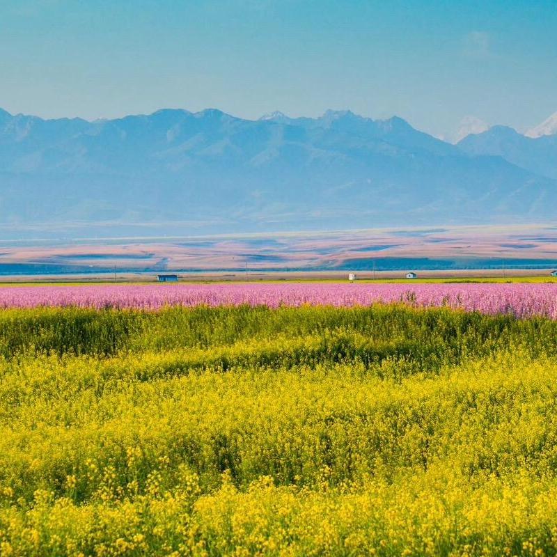 -用户789367818的头像