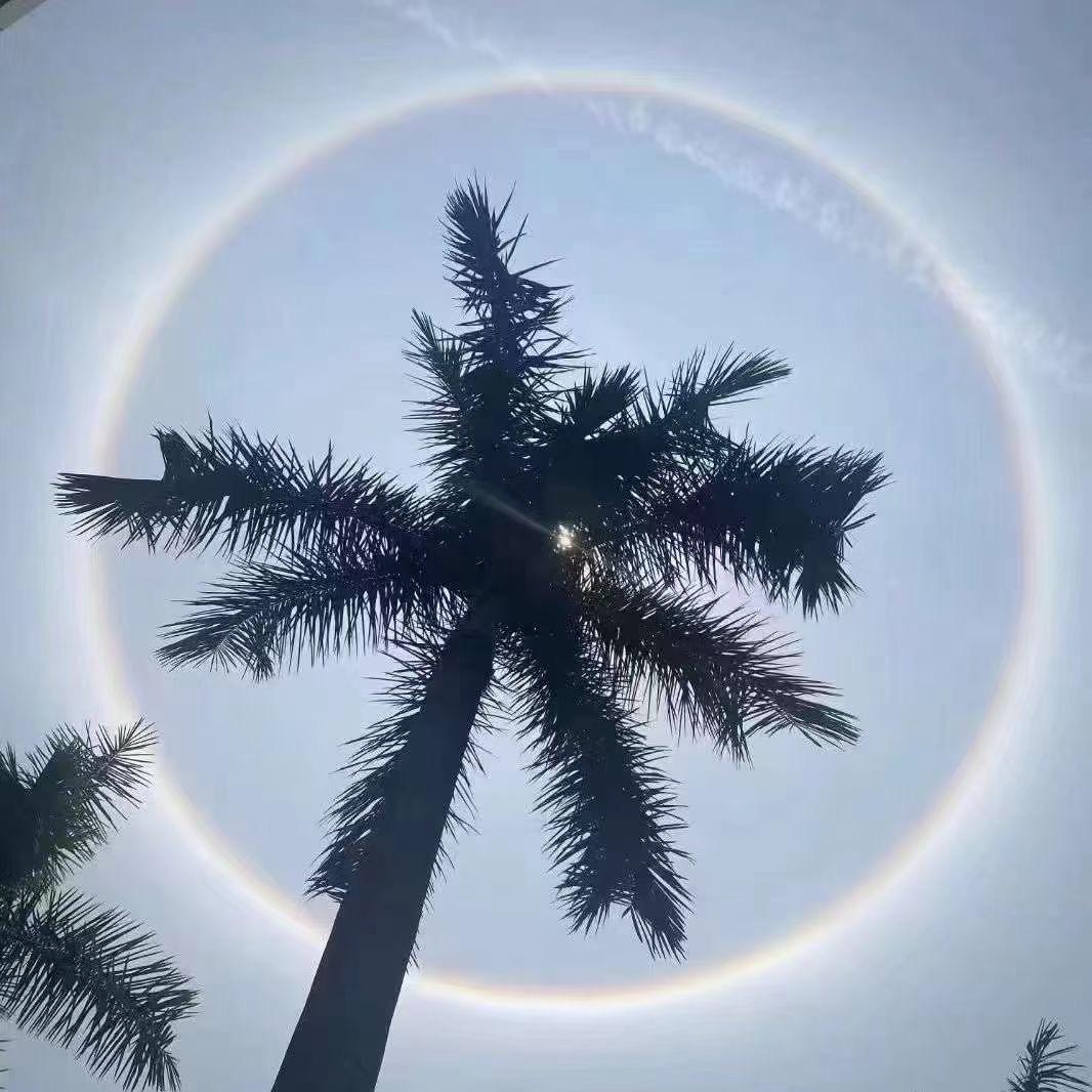 桃枝夭夭灼灼其华