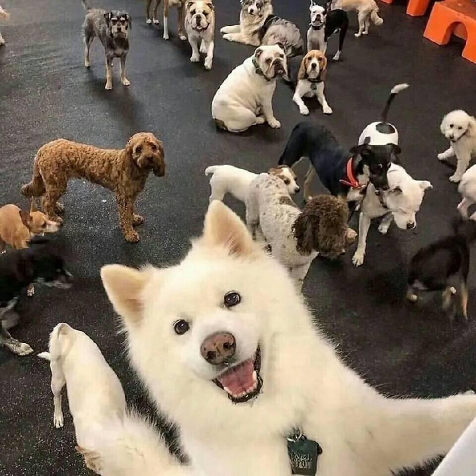 赵煜邦