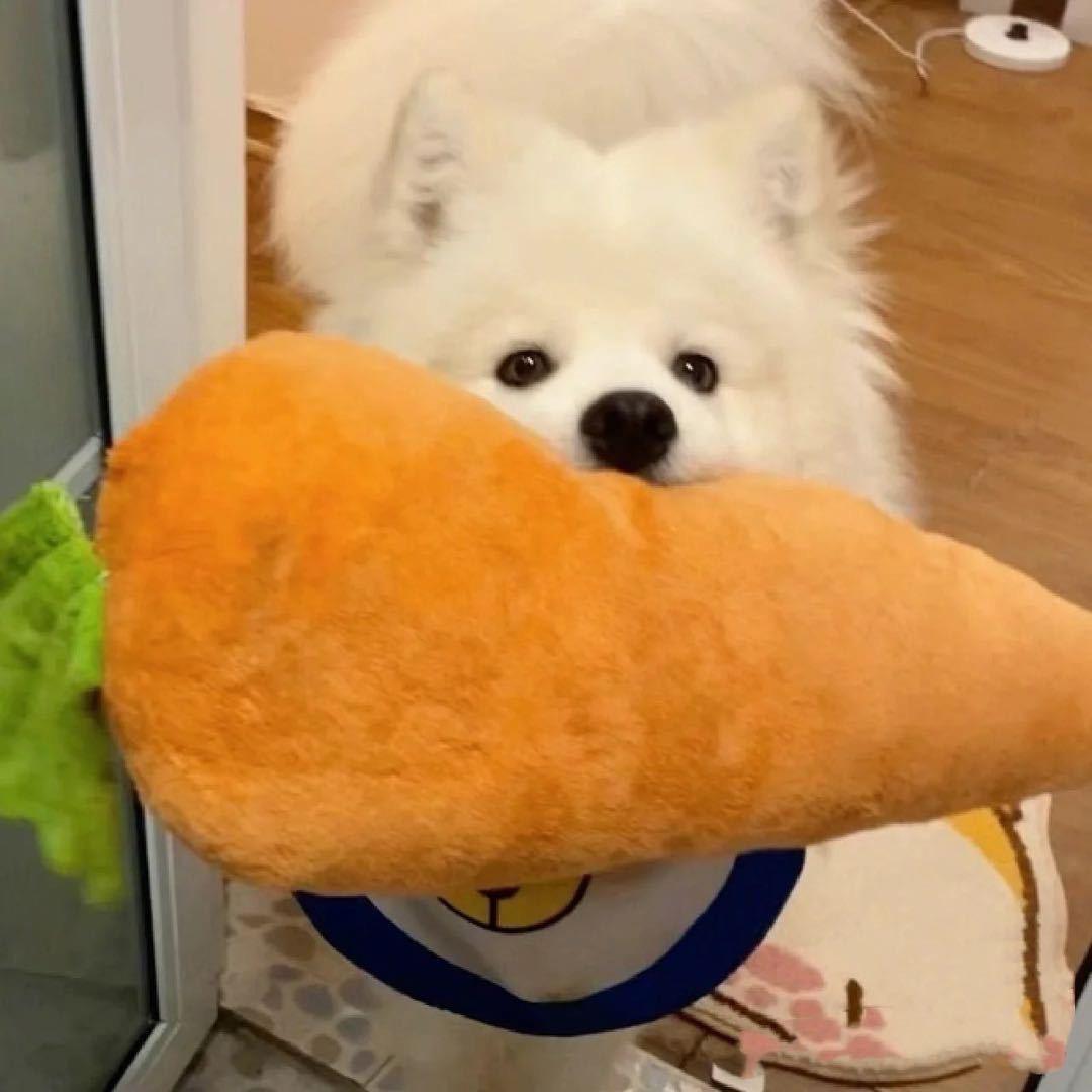 Niejiaaa-