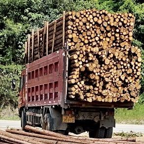 ✨✨浪花一朵朵✨✨