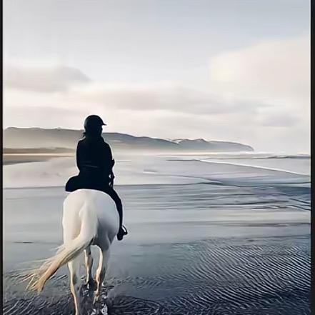 最后一道晚安.
