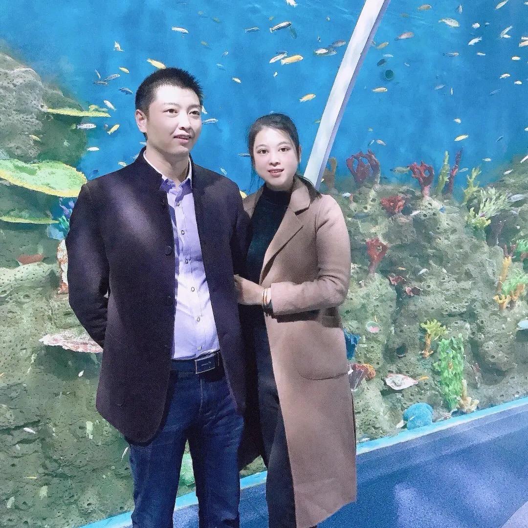 忘忧草、