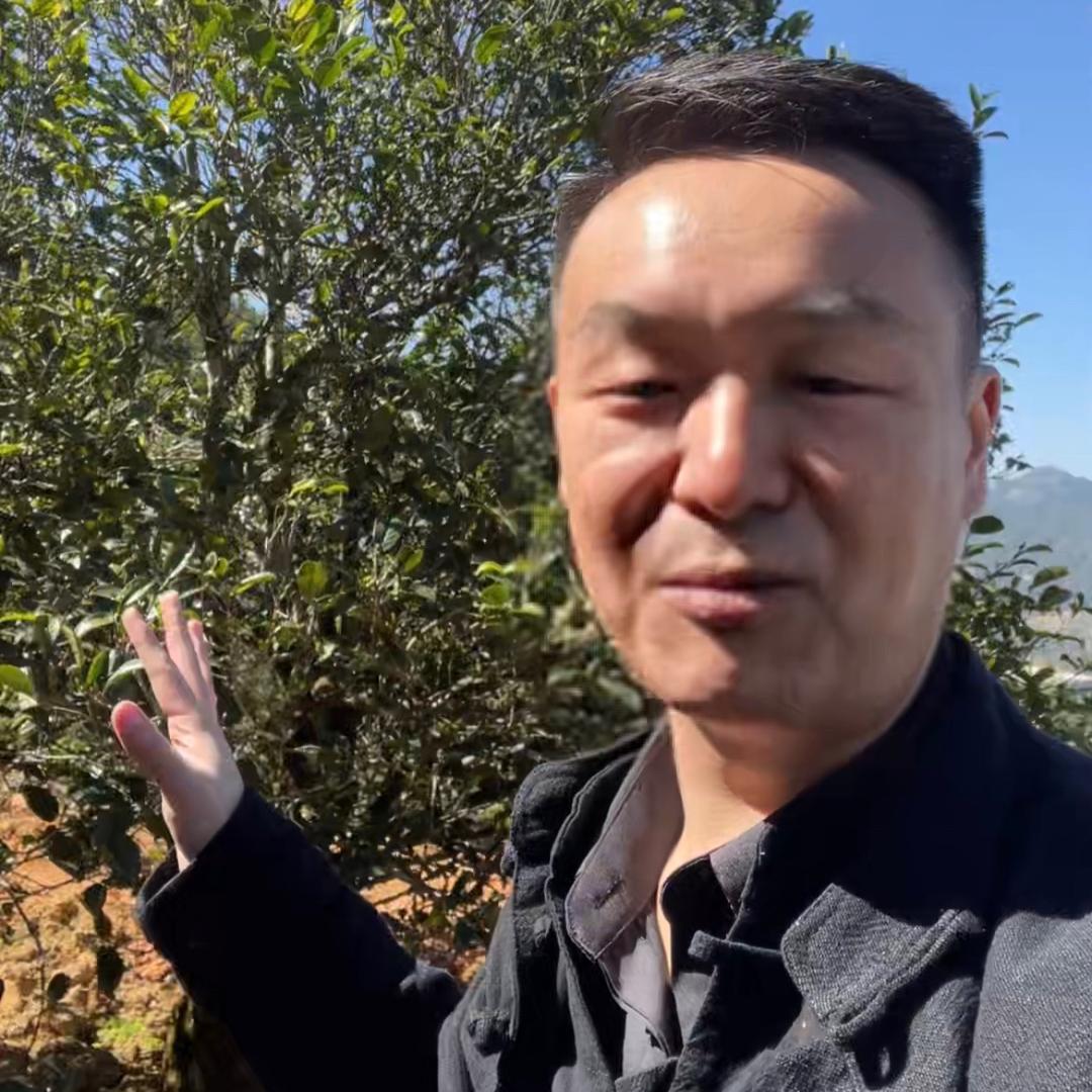 阿飞侃茶