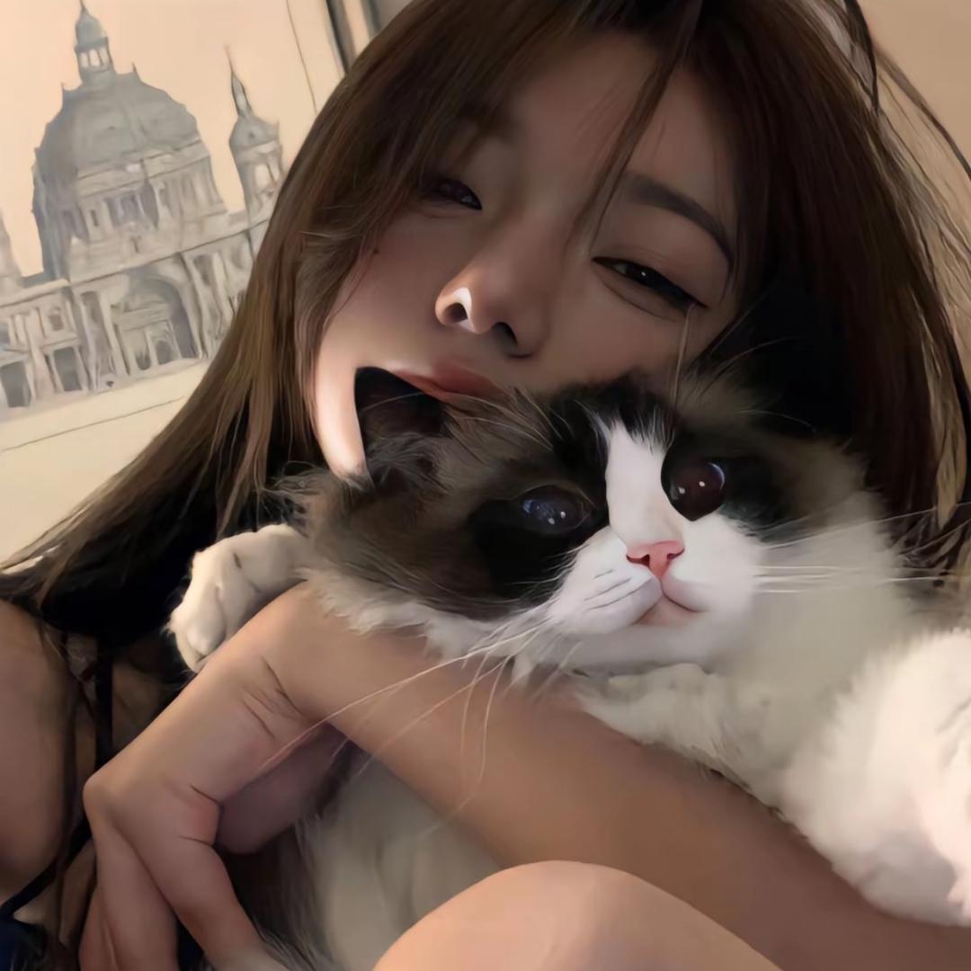 发呆呆呆羊 🐑