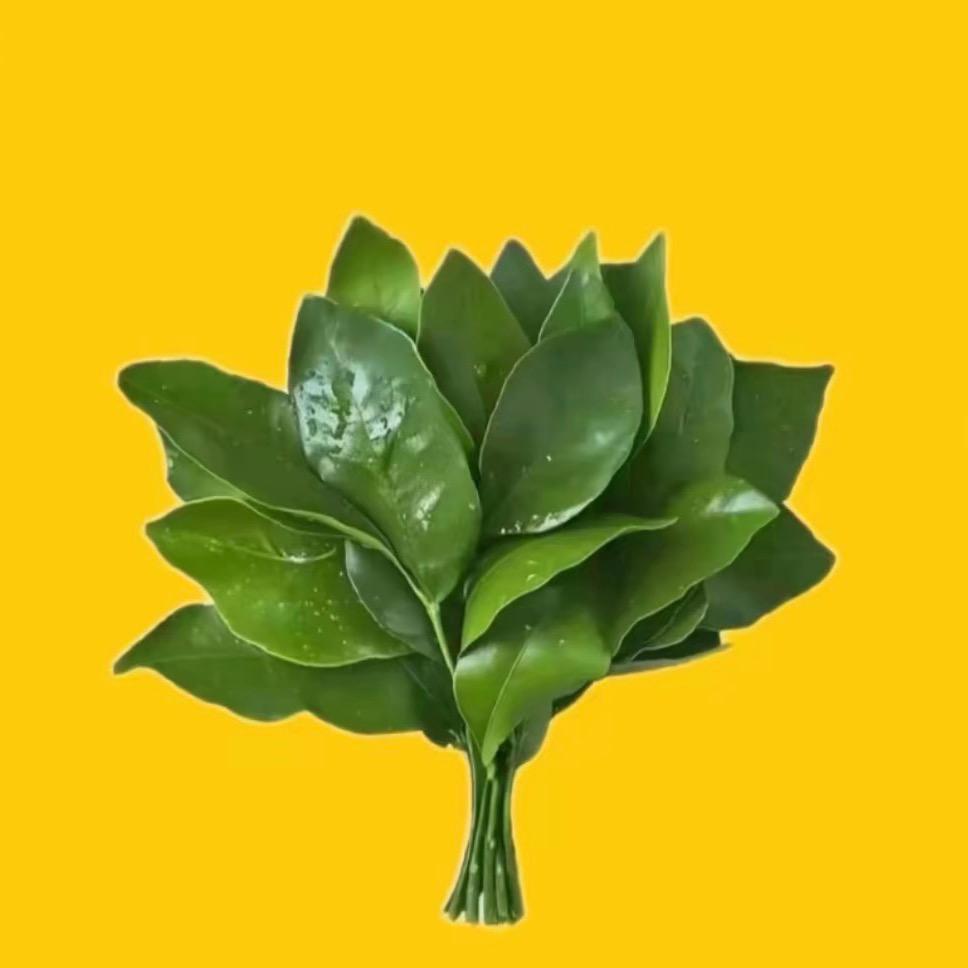 洁如（善念 善行）