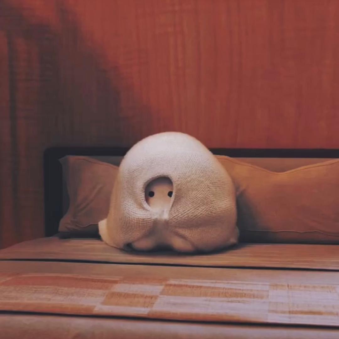 ᥫᩣ简忆₅₂₀¹³¹⁴
