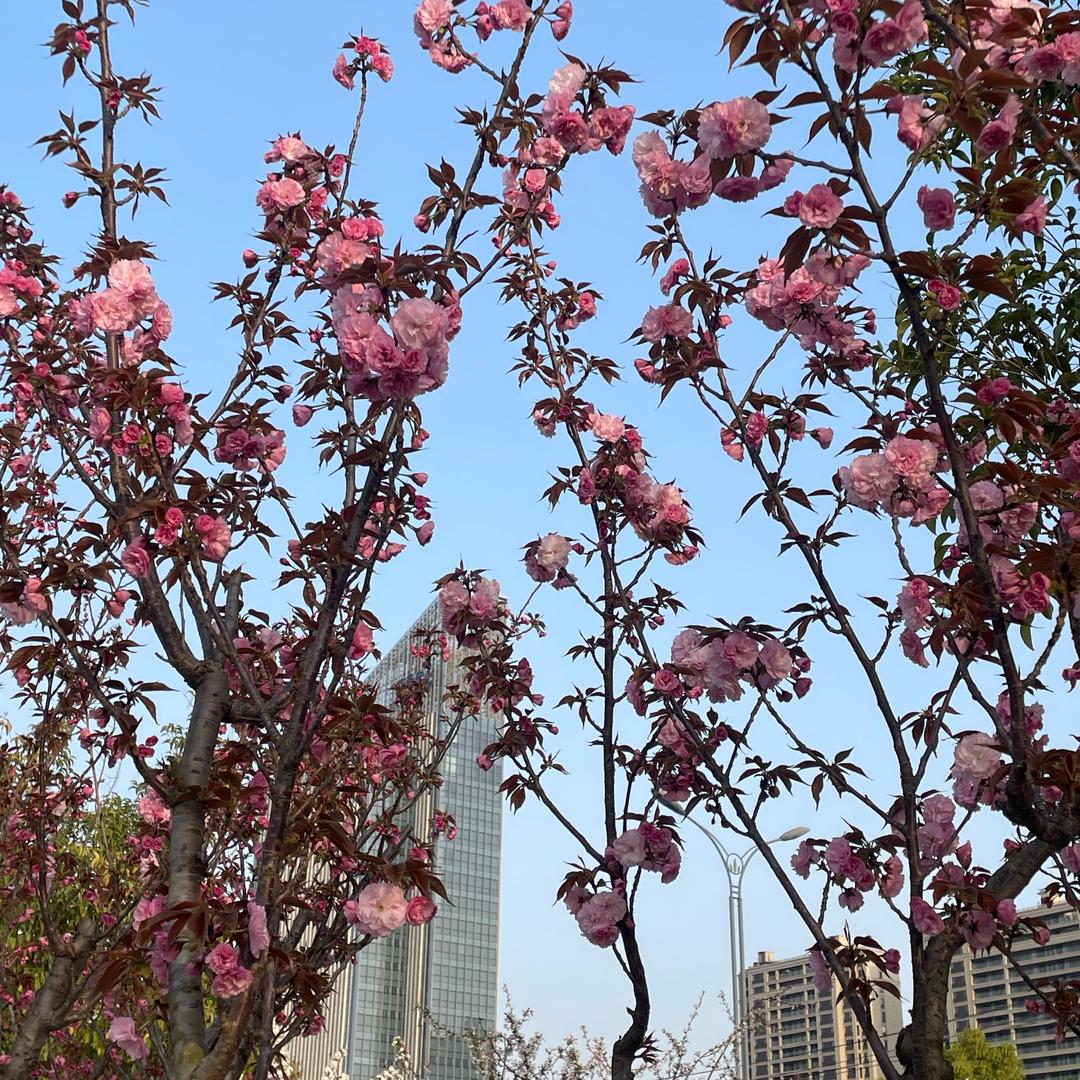 万家灯火