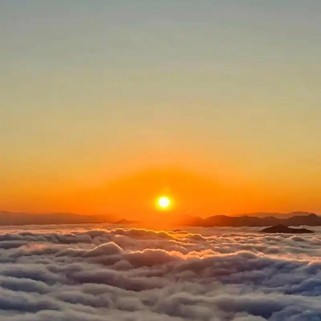 芊烨流光
