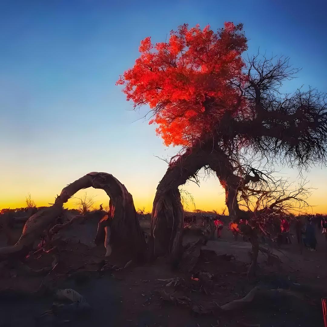 精品女装特惠专场