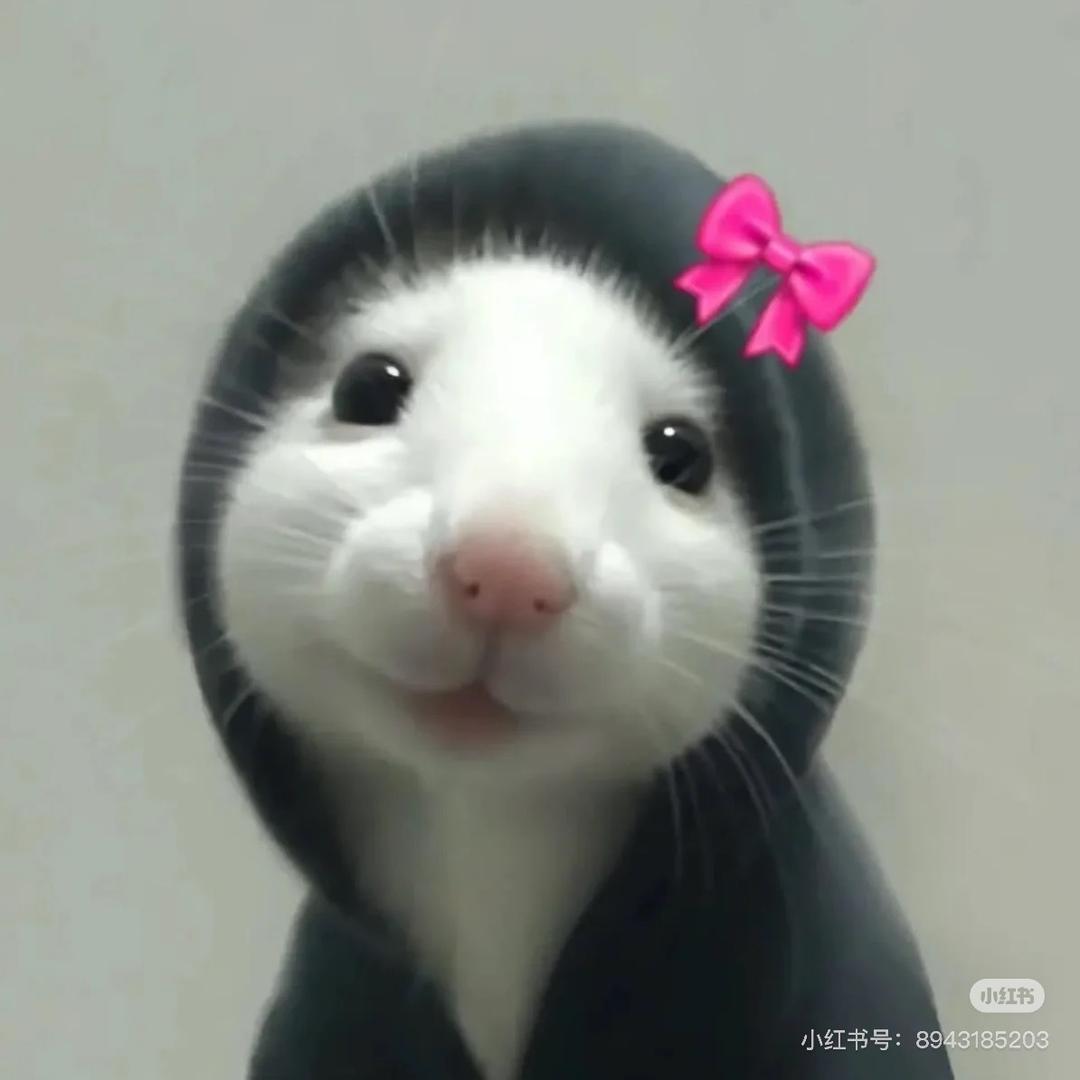 别再掉头发啦～