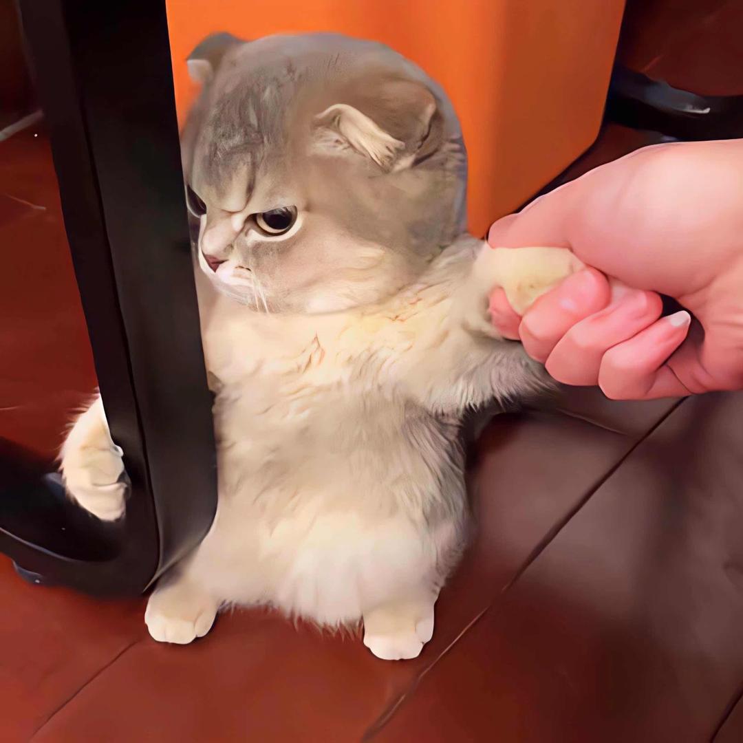 ࿐ཉི༗࿆Smile ༗࿆ཉི࿐