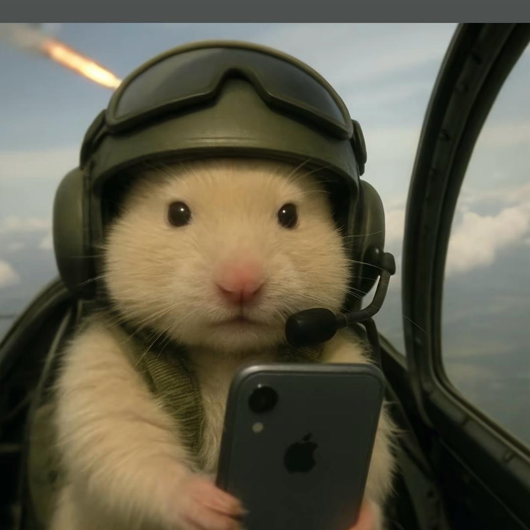 鼠鼠版三角洲行动