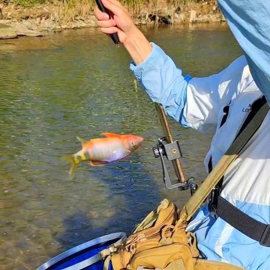 🎣溪水精灵🎣