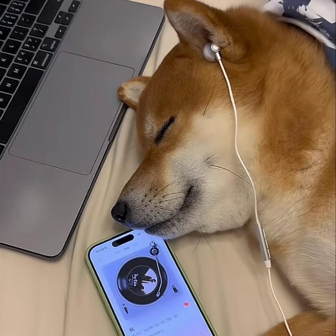 俊