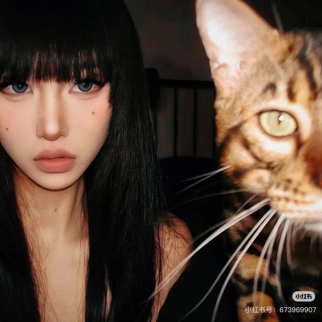 郝朵猫