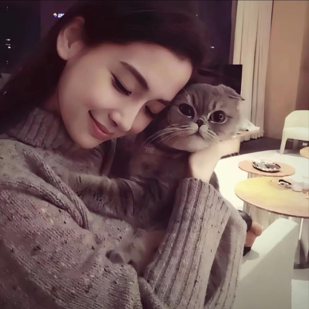 小鱼ㅤㅤㅤㅤㅤ