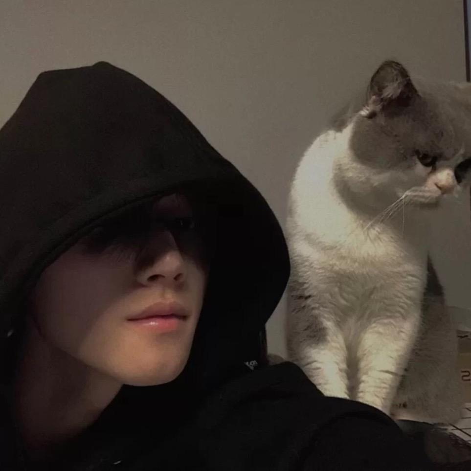 新鼎汇娱乐场所。韩振