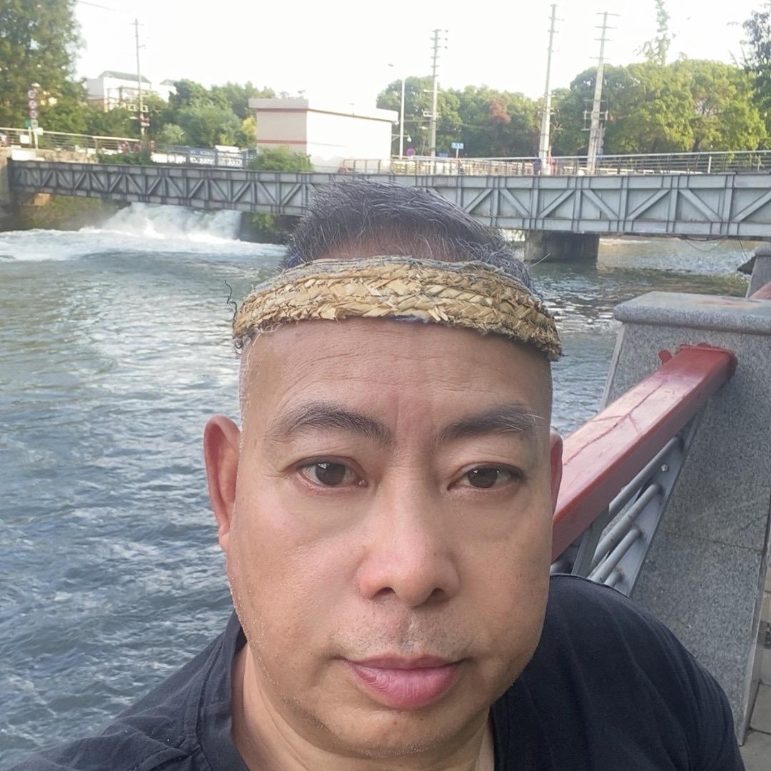 摆戈🩼