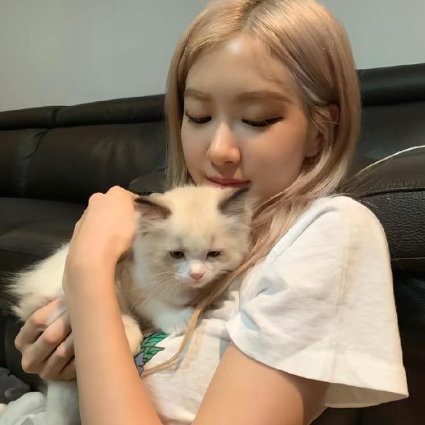ㅤㅤ ㅤ