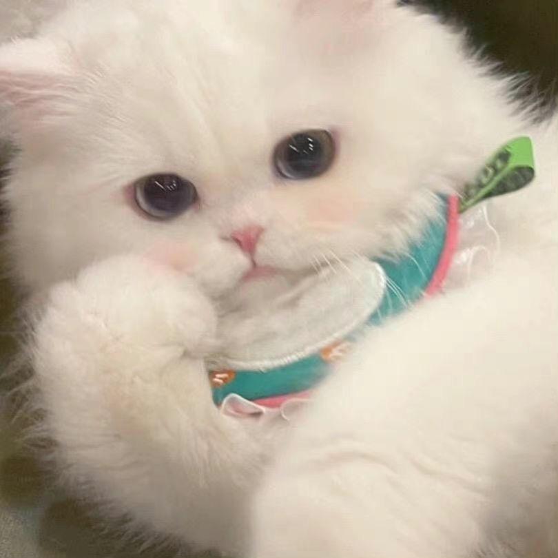 木火火