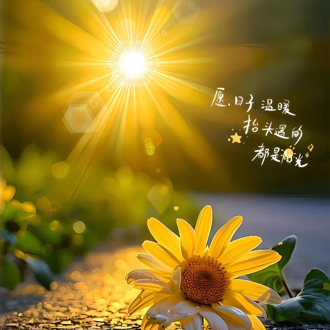 诗词美文