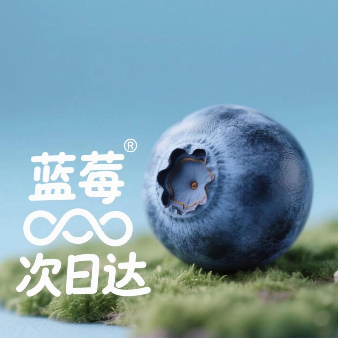 紫约蓝莓-明日送达