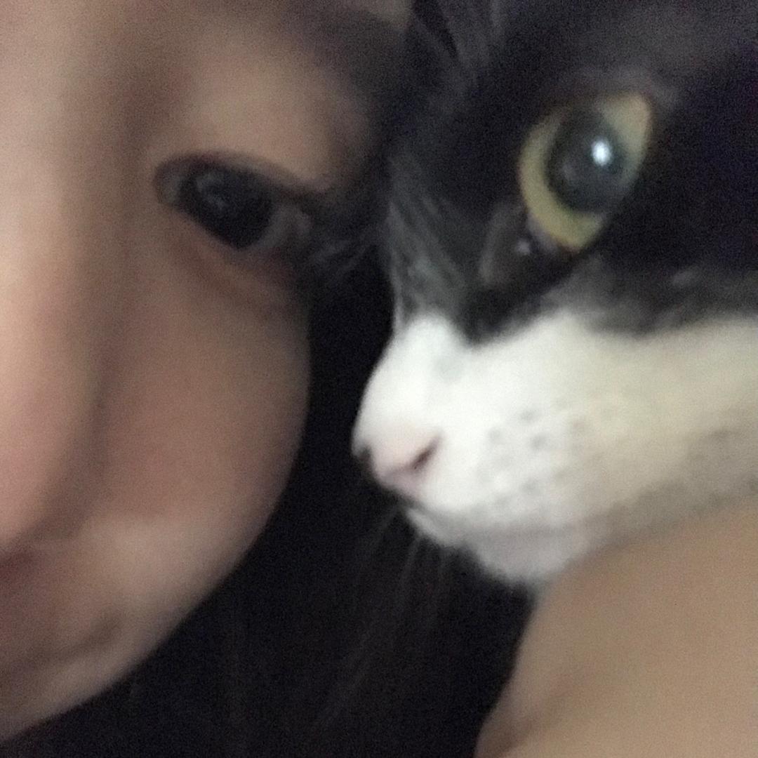 我是杨国福