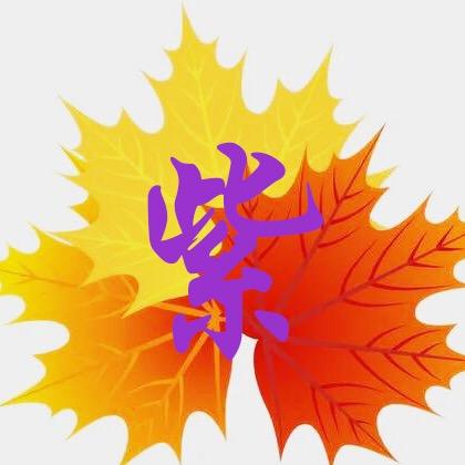 紫枫影剧