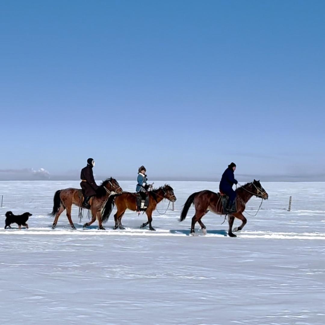 牧云追光马术俱乐部