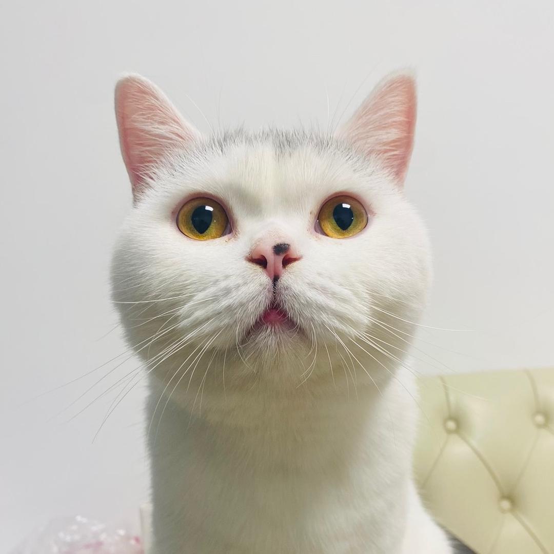 开心滴小66✨