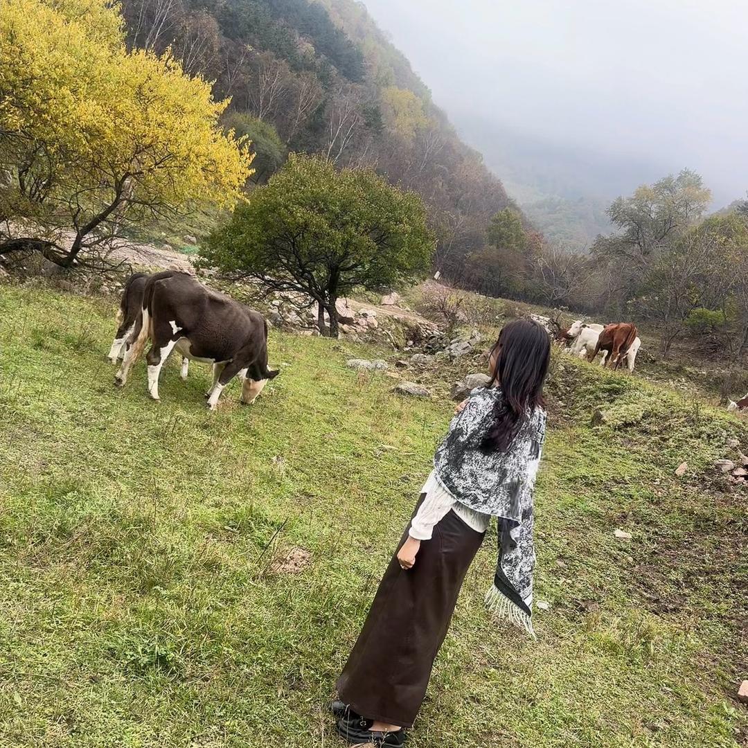 洪洞见贤里朝阳小区～洋洋