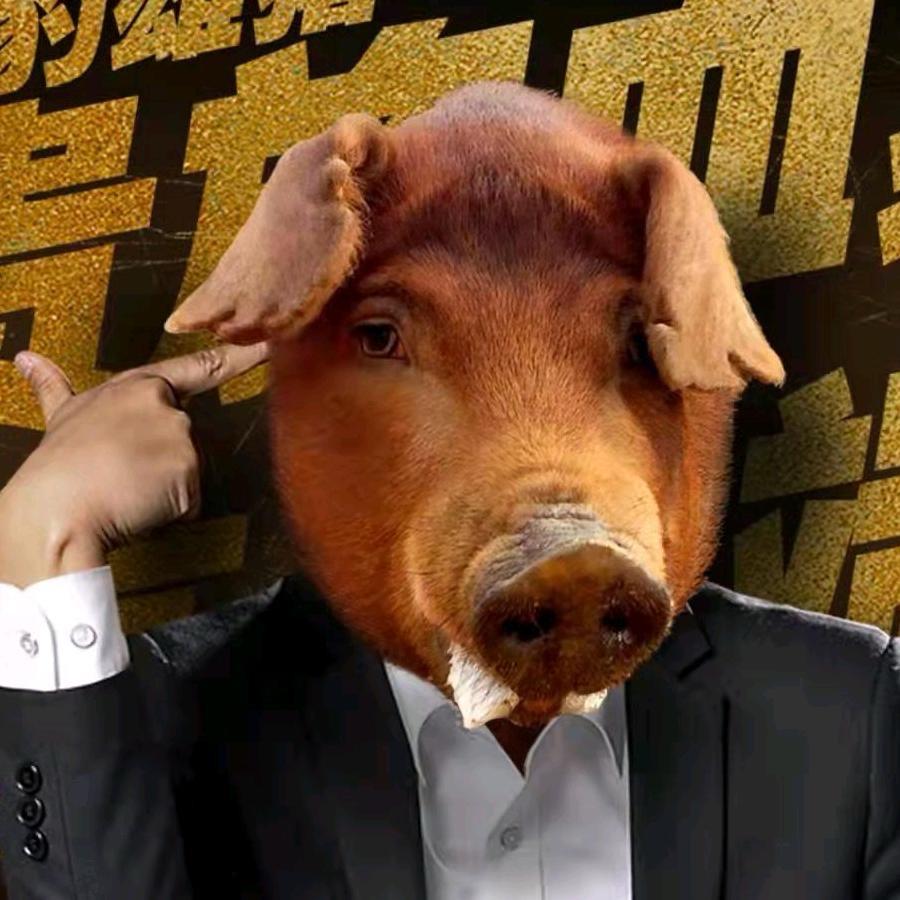 臻猪科技溱诚种猪