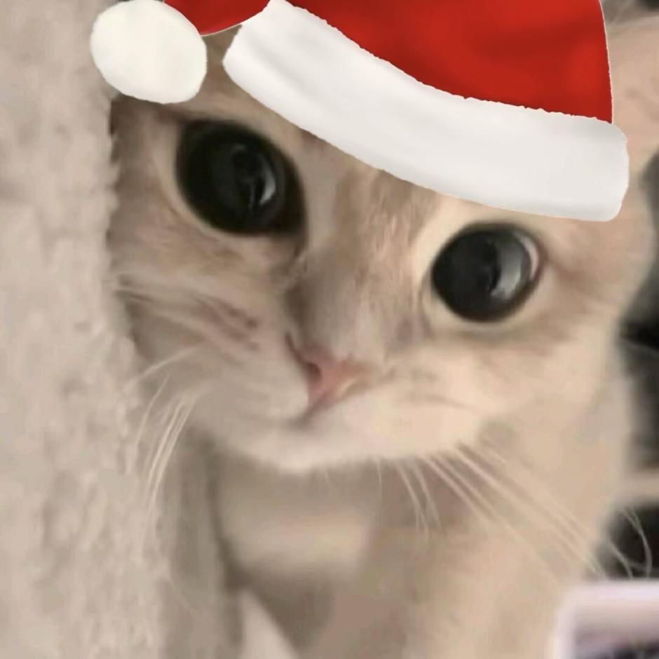 ？ 李俊哲（见过李俊哲版）