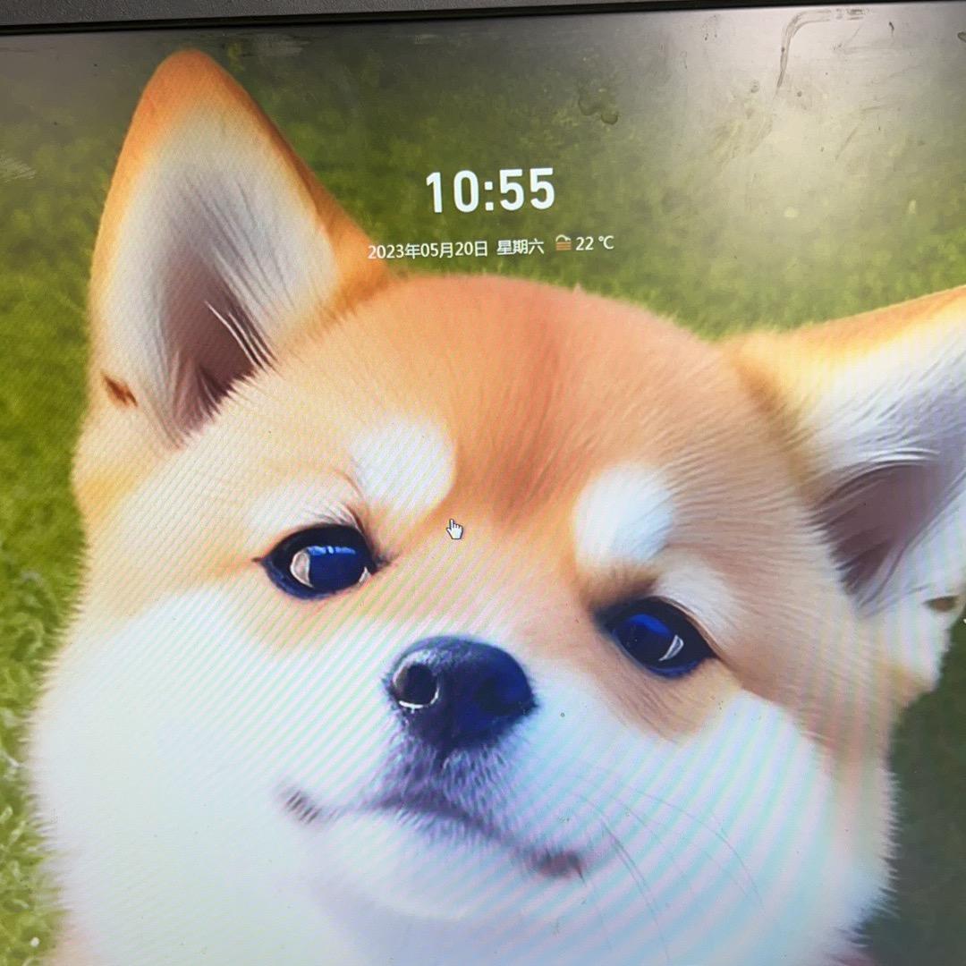 木易杨楊